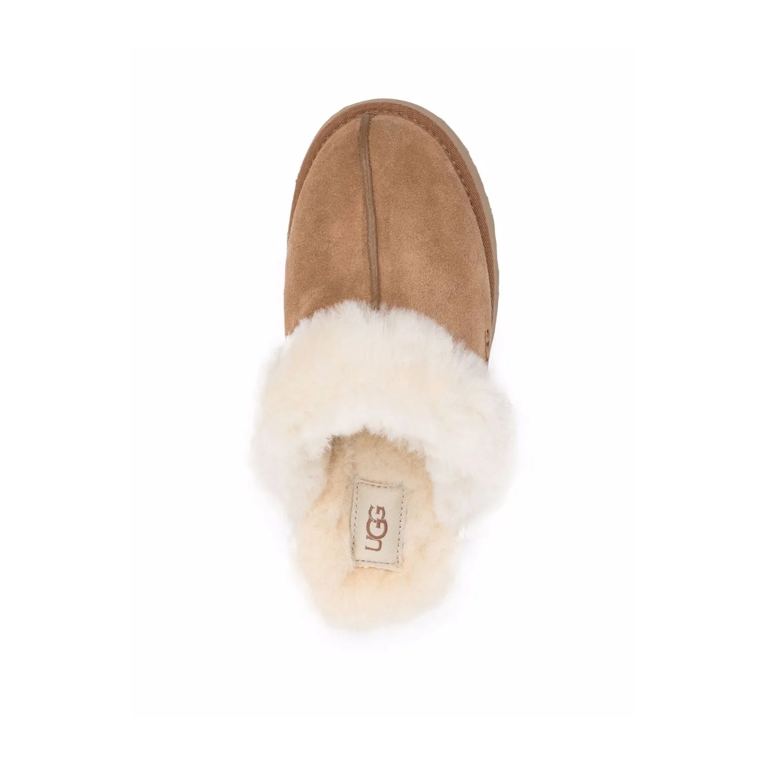 Disquette Suede Slippers Chesnut